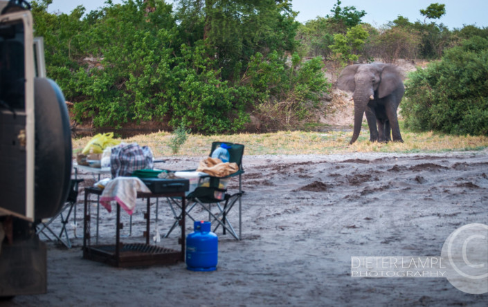 Reisefotografie durch Achtsamkeit: Chobe Botswana