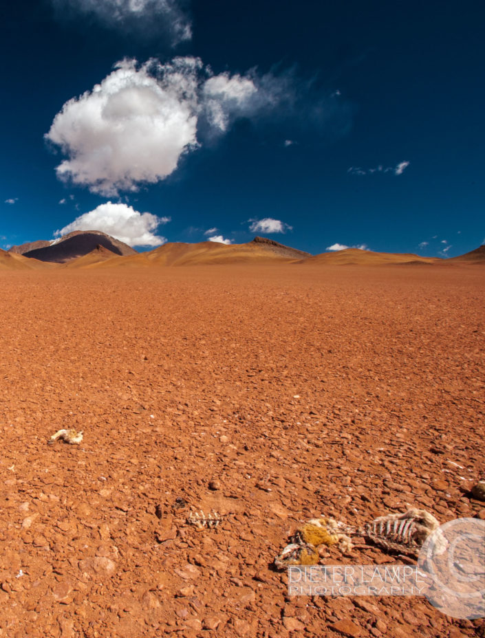 Reisefotografie durch Achtsamkeit: Atacama Wüste Chile